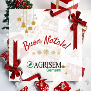 https://www.agrisemsrl.it/